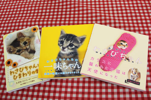 定ニャンの会 わさびちゃんファミリー猫里親譲渡会のご報告 飼い主のいない猫活動レポート